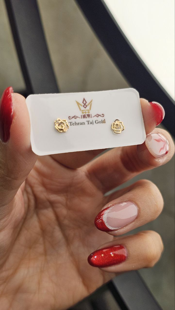 IMG_20251116_122235_557 title% 1