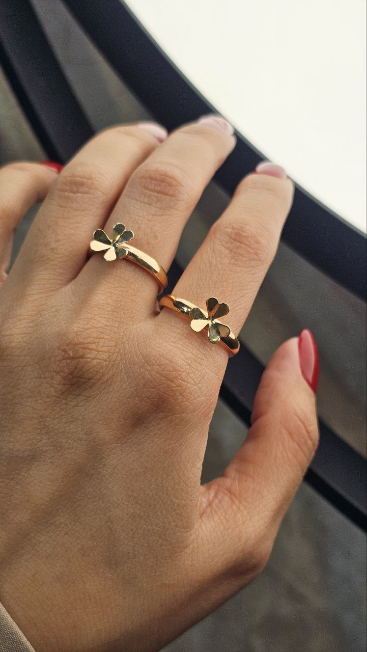 IMG_20251117_152202_582 title% 1