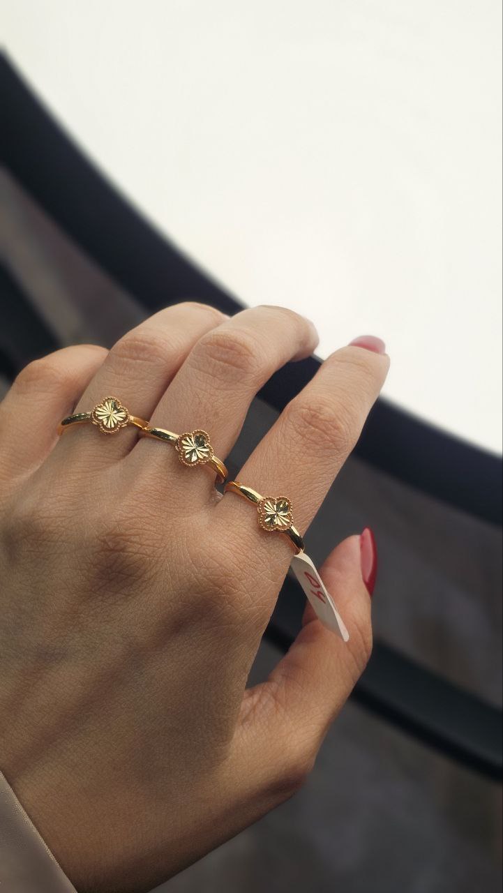 IMG_20251117_154029_826 title% 1