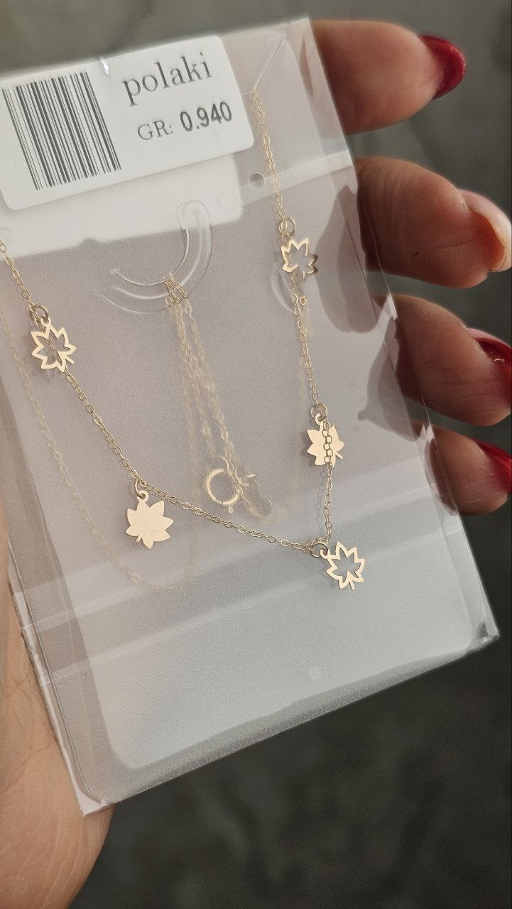 IMG_20251124_090955_890 title% 1