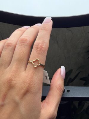 title% 25 زرینه گلد